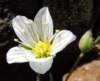 sm20130326_31douglassandwort_small.jpg